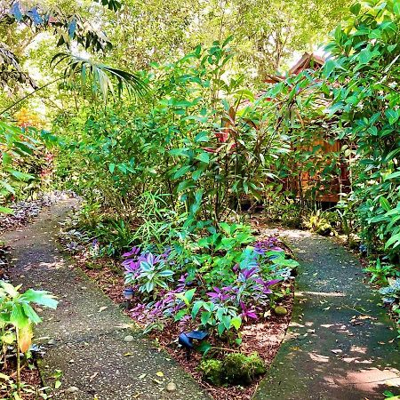 Coral Hill Bungalows Cahuita Exterior foto