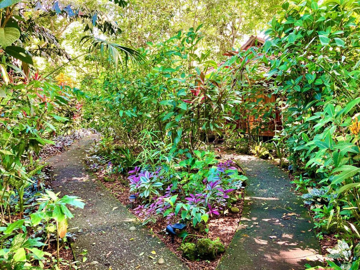 Coral Hill Bungalows Cahuita Exterior foto