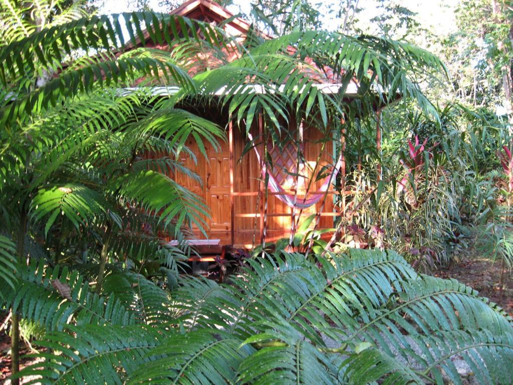 Coral Hill Bungalows Cahuita Exterior foto