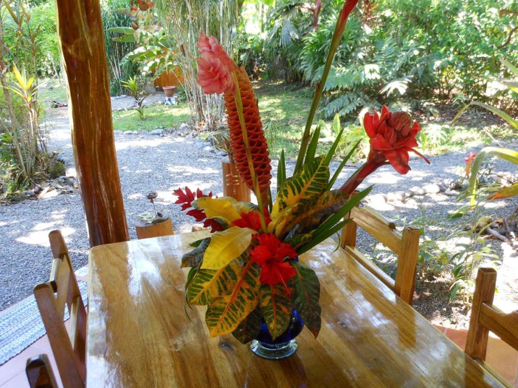 Coral Hill Bungalows Cahuita Exterior foto