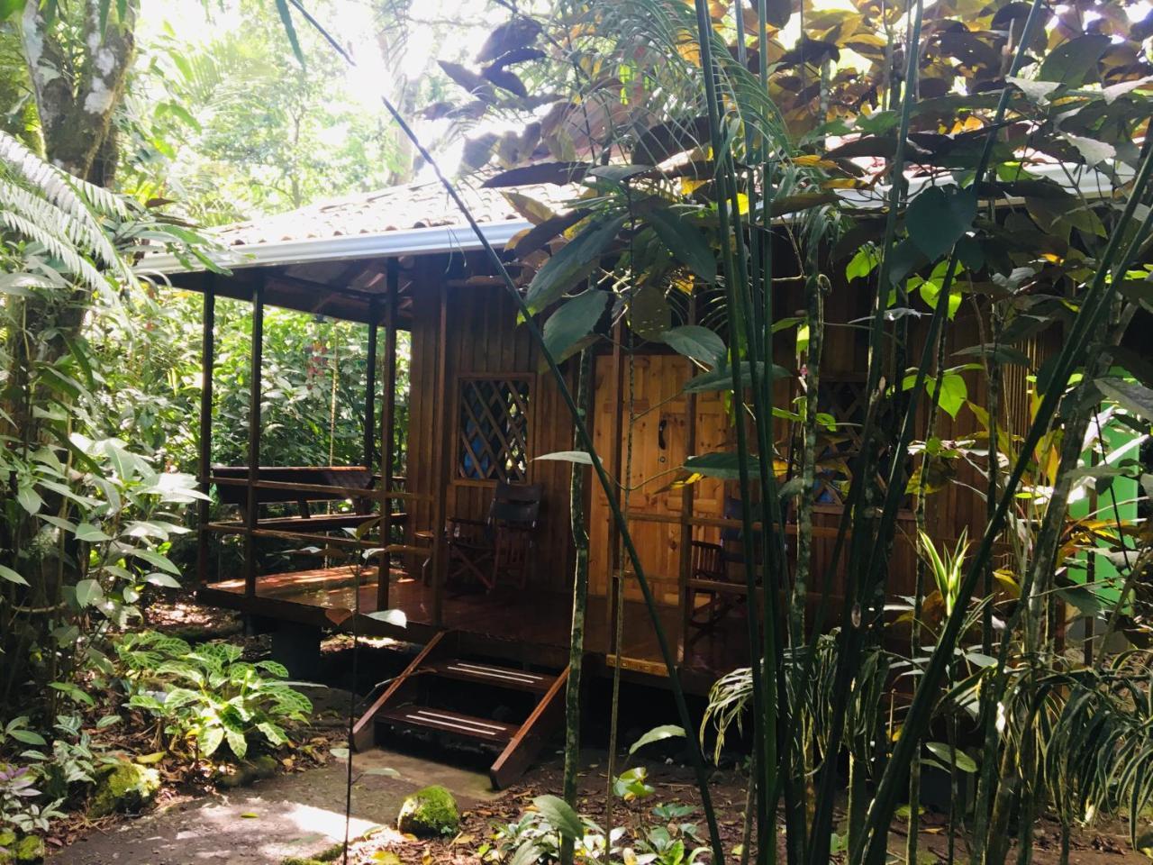 Coral Hill Bungalows Cahuita Exterior foto